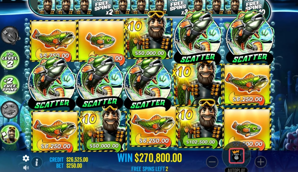 Apa Itu Scatter Collect Bonus?